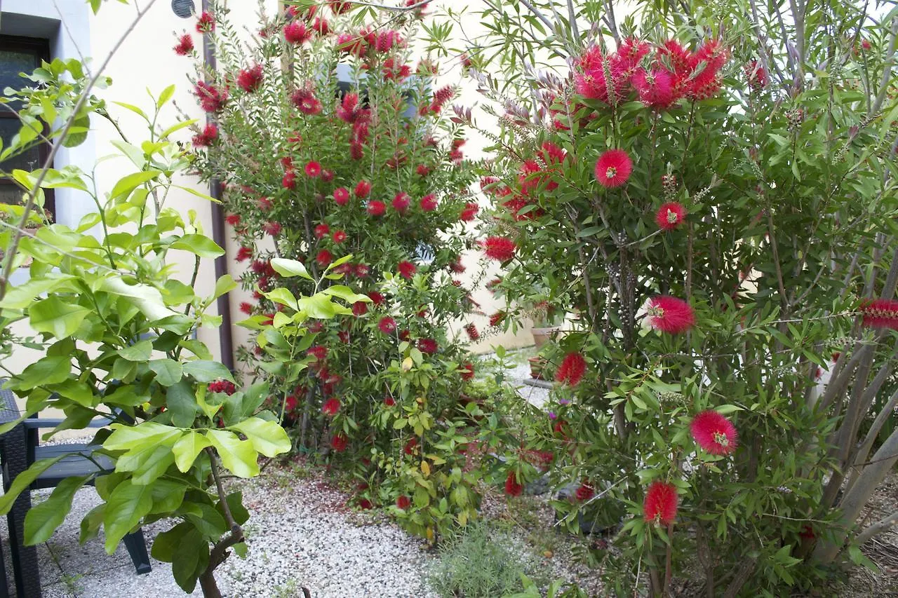 Residence Giuly Rosselmini Pieve di Santa Luce 3*,